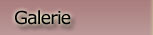 Galerie